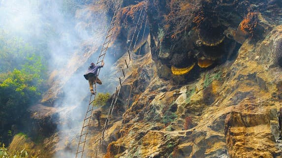 Keepers of the Wild Honey - Cliffside Courage. Nature’s Rarest Reward.